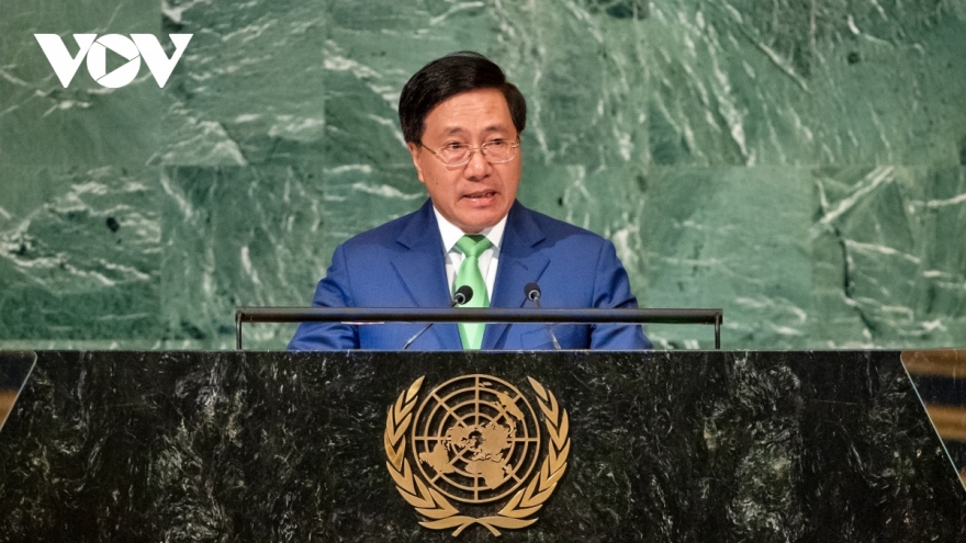 Deputy PM highlights international solidarity, cooperation UNGA session